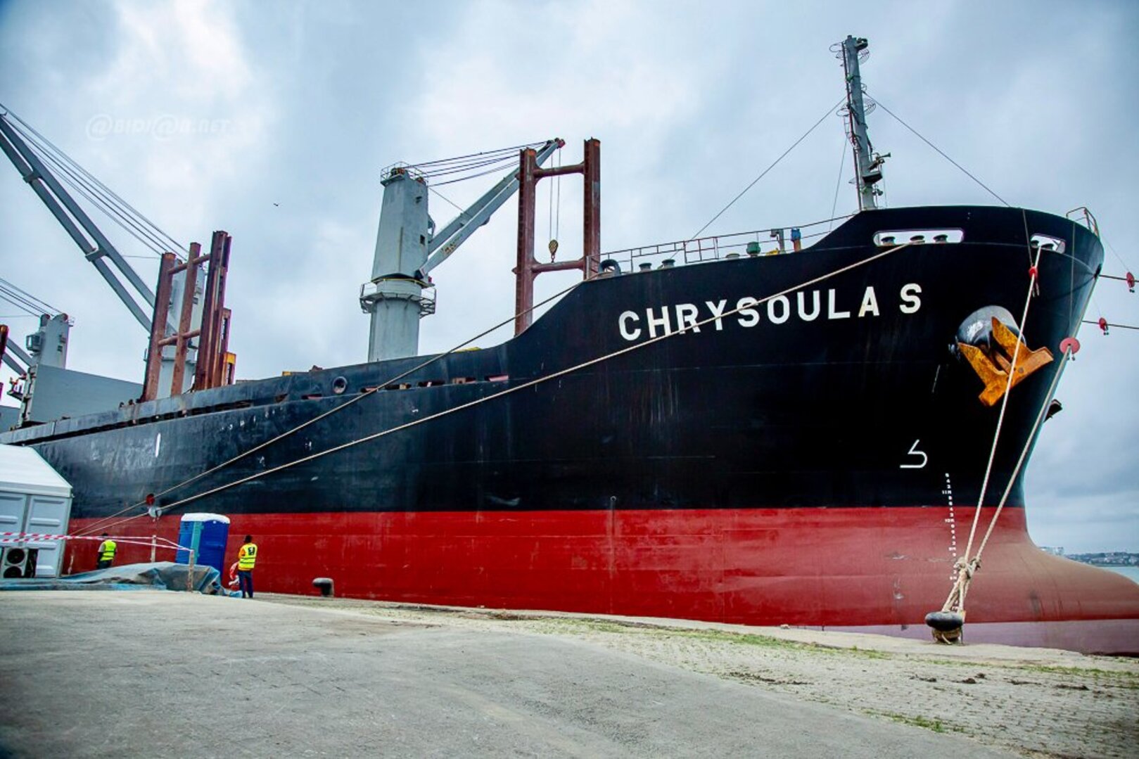 Côte d’Ivoire: Grand Moulin d’Abidjan Welcomes U.S. Wheat Shipment After 17 Years